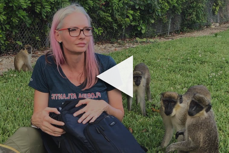 Protecting West African Monkeys in Dania Beach